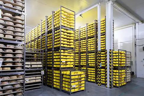 Mapeo térmico industria alimentaria - Emed Ingeniería